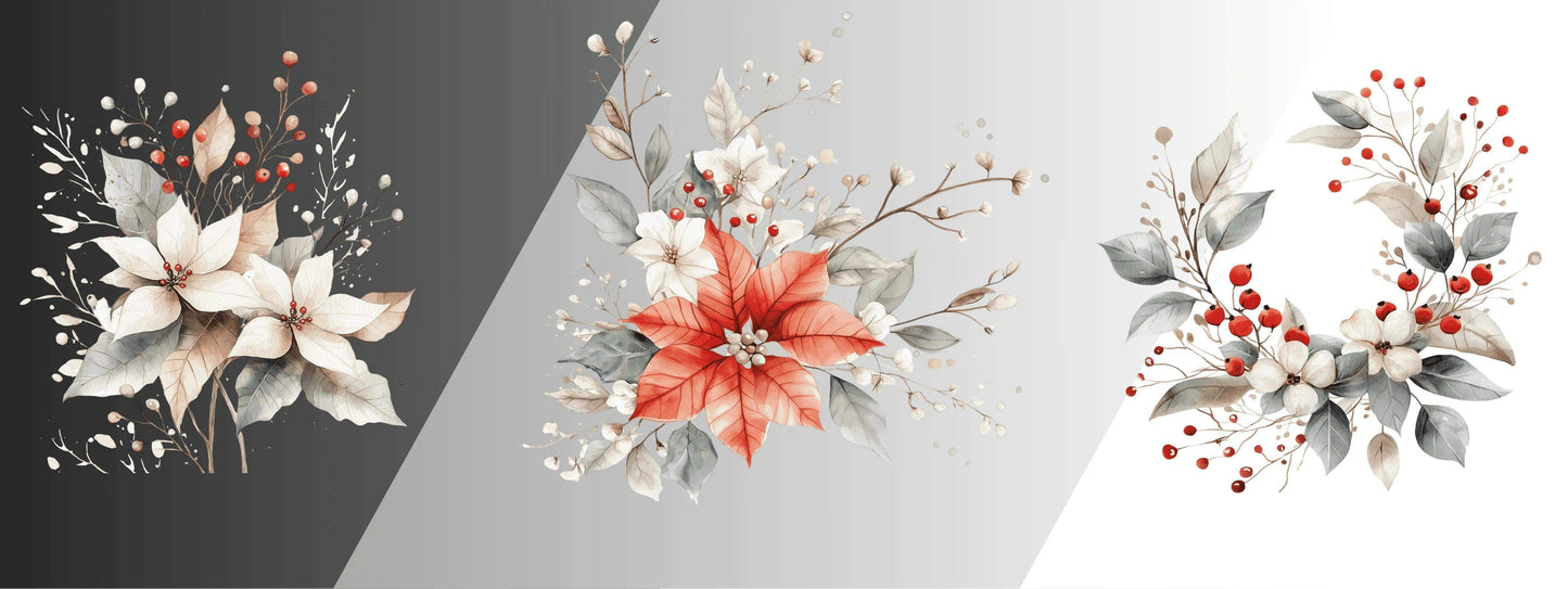 Winterstern & Mistelzweig | Blumen Bouquet – Perfekte Ergänzung zu XXL Bordüren