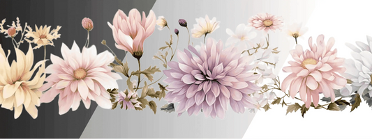 Chrysanthemen | Blumen Bordüre XXL Bügelbild bis 250cm