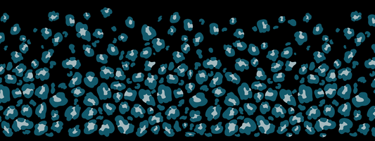 #14 Cold Steel | Blaugrau-Petrol | LEO Classic ColorPop