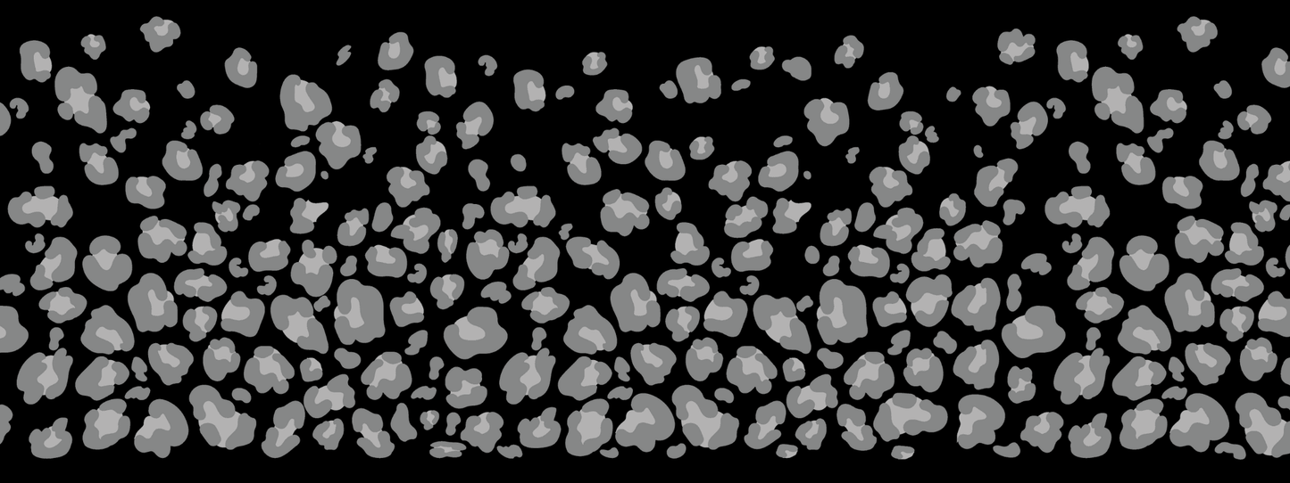 #2 Silver Mist | Grau Monochrom | LEO Classic ColorPop