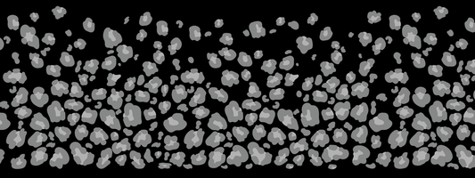 #2 Silver Mist | Grau Monochrom | LEO Classic ColorPop