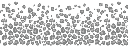 #2 Silver Mist | Grau Monochrom | LEO Classic ColorPop