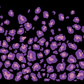 #6 Berry Vibes | Violett Monochrom | LEO Classic ColorPop